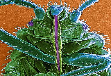 口碑扑街 《沙赞2》导演表示目前不会再碰超英电影